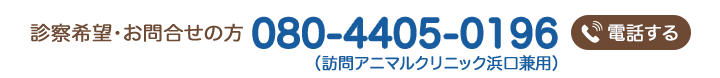 診察希望・お問合せの方はお電話で