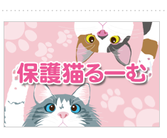 保護猫譲渡るーむ