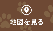 地図を見る
