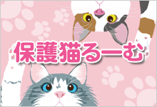 保護猫るーむ にゃんこステイ