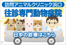 訪問アニマルクリニック濱口