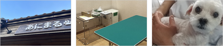 あにまるロック診療所