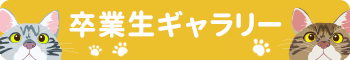 卒業生ギャラリー