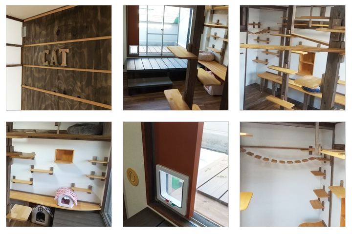 保護猫譲渡るーむ