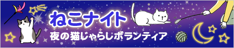 ねこナイト