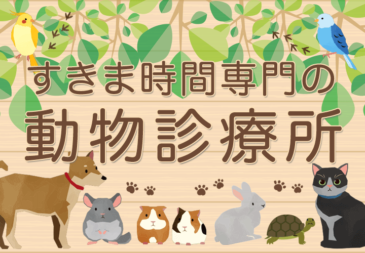 すきま時間専門の動物診療所