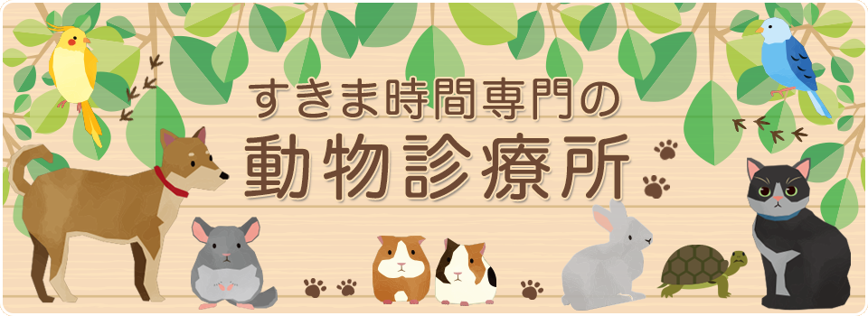 すきま時間専門の動物診療所